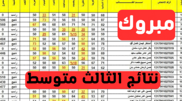 "استعلم عن نتيجة محافظة واسط".. لينك نتائج الثالث متوسط الدور الأول 2024 العراق