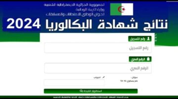 لينك مُباشر.. الاستعلام عن نتائج بكالوريا الجزائر 2024 عبر موقع الفضاء والوزارة