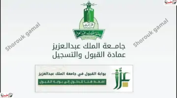 قدم الآن.. خطوات التسجيل في جامعة الملك عبدالعزيز 1446 والشروط اللازمة