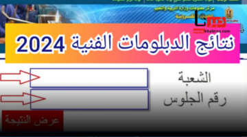 استخرج الآن نتيجة الدبلومات الفنية 2024 تجاري وصناعي وزراعي وفندقي