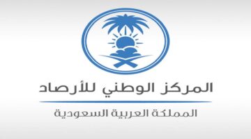 توقعات بهطول أمطار رعدية.. الأرصاد تحذر من حالة الطقس اليوم 