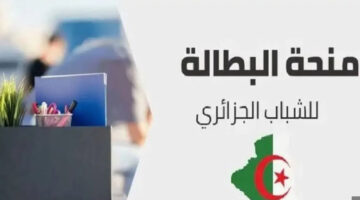 جدد وانت في مكانك.. تعرف على طريقة تجديد منحة البطالة في الجزائر 2024 والشروط المطلوبة