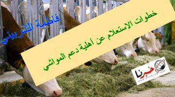 "لينك reef.gov.sa" خطوات الاستعلام عن أهلية دعم المواشي 1446.. تعرف على شروط التسجيل