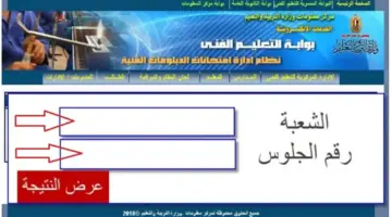 رابط مباشر.. نتائج الدبلومات الفنية بمصر 2024 استعلم عنها بالاسم ورقم الجلوس