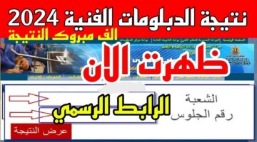 هنا.. رابط نتيجة الدبلومات الفنية 2024 الرسمي برقم الجلوس طلاب التجاري