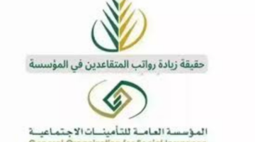 "بعد التعديلات الأخيرة".. زيادة رواتب التقاعد في نظام التأمينات الاجتماعية الجديد والمؤسسة العامة للتأمينات توضح