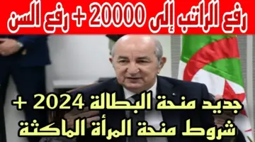 "الوكالة الوطنية للتشغيل توضح".. شروط منحة البطالة 2024 للمتزوجة وخطوات التسجيل عبر الموقع الرسمي anem.dz