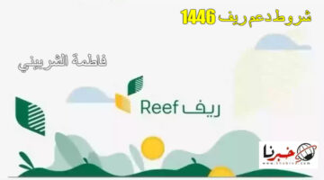 "لينك reef.gov.sa" شروط دعم ريف 1446.. تعرف على خطوات التسجيل في الدعم