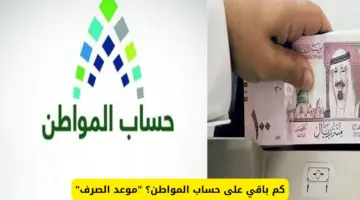 كم باقي على حساب المواطن؟ وحقيقة تأخير دفعة شهر أغسطس ورابط الدخول عبر النفاذ الوطني
