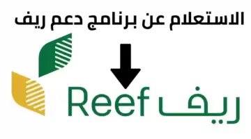 وزارة البيئة والزراعة تعلن عن شروط دعم الريف وطرق التسجيل للنساء