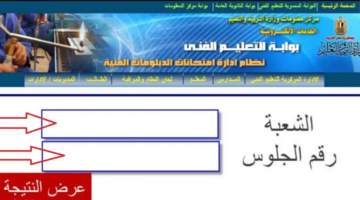 لينك بوابة التعليم الفني لاستخراج نتيجة الدبلومات الفنية 2024 برقم الجلوس (الصناعي- التجاري- الزراعي)