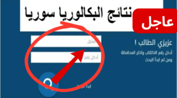 رابط رسمي سريع.. لينك نتائج البكالوريا 2024 سوريا حسب الاسم موقع وزارة التعليم