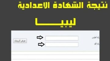 ظهرت رسميًا.. لينك نتائج الشهادة الإعدادية ليبيا 2024 عبر الموقع الرسمي nec.gov.ly/FinalResults
