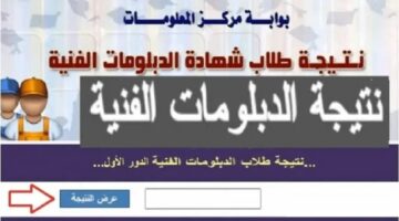 “tech.moe.gov.eg” لينك نتيجة الدبلومات الفنية 2024 برقم الجلوس زراعي والصناعي والتجاري والفندقي عبر بوابة التعليم الفني 