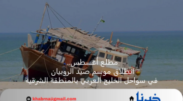 ‏مطلع أغسطس.. انطلاق موسم صيد الروبيان في سواحل الخليج العربي بالمنطقة الشرقية
