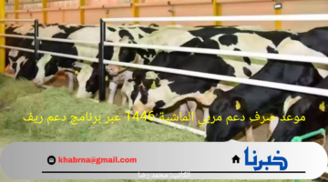 متى موعد نزول دعم ريف دفعة أغسطس؟.. وزارة البيئة والمياه توضح