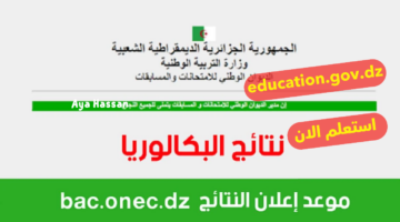 "بدء العد التنازلي".. موعد ظهور نتائج البكالوريا الجزائر 2024 وكيفية الاستعلام عنها
