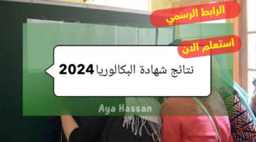 "رابط رسمي وسريع".. الاستعلام عن نتائج البكالوريا 2024 بالجزائر لجميع الولايات