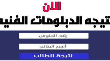 نتيجة الصنايع والتجارة والزراعة هتظهر امتى؟.. موعد ظهور نتيجة الدبلومات الفنية 2024 ورابط الاستعلام عن النتيجة