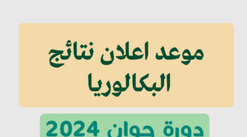 الآن.. وزارة التربية الوطنية توفر رابط الاستعلام عن نتائج البكالوريا الدورة الأولى 2024 الجزائر