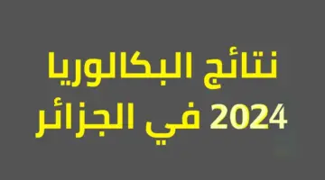 SMS .. رابـط نتائج البكالوريا 2024 النهار إلكترونيا عبر موقع وزارة التربية education.gov.dz
