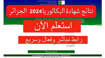 رابط فعال ومُباشر.. نتائج بكالوريا الجزائر دورة جوان 2024 عبر الديوان الوطني