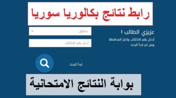 "هٌــنا" نتائج البكالوريا سوريا 2024 علمي وأدبي حسب الاسم ورقم الاكتتاب موقع وزارة التربية السورية moed.gov.sy