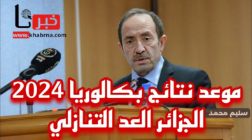 نتائج البكالوريا في الجزائر 2024 bac.onec.dz جميع الولايات وزارة التربية الوطنية الجزائرية الديوان الوطني