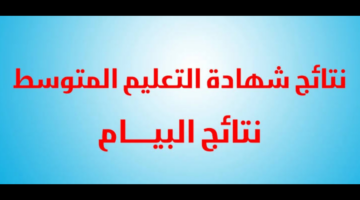 "وزارة التربية الوطنية".. تعلن كيفية استخراج نتائج المراسلة في الجزائر 2024 برقم التسجيل