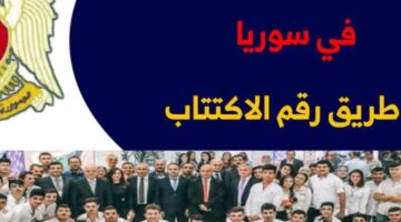 وزارة التربية السورية تتيح رابط الاستعلام عن نتائج التاسع سوريا 2024 وتبشر بنسب النجاح