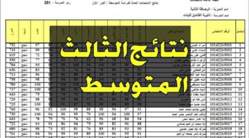 نتائج الثالث متوسط 2024 البصرة وكيفية تقديم اعتراض النتيجة