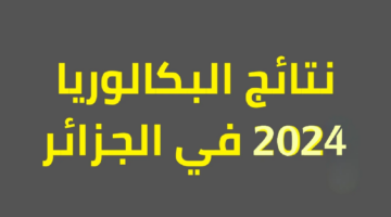 "استعلم الآن" نتائج الجزائر 2024 عبر موقع فضاء وبوابة التربية الوطنية "education.gov.dz"