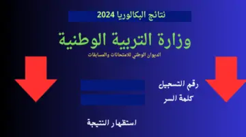 لينك رسمي.. الاستعلام عن نتائج بكالوريا الجزائر عبر الديوان الوطني بجميع الولايات 2024