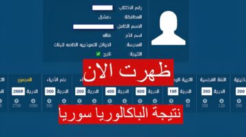 "استعلم الان" موقع نتيجة البكالوريا في سوريا الأدبي والعلمي 2024 الرابط الرسمي لنتائج طلاب سوريا