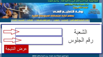 نتيجة الدبلومات الفنية 2024.. الرابط الرسمي للاستعلام