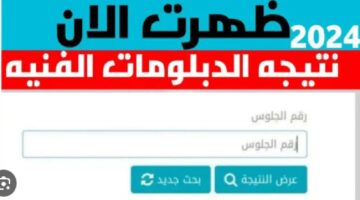 موعد ظهور نتيجة الدبلومات الفنية 2024.. برقم الجلوس moe.gov.eg