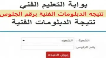 برقم الجلوس.. نتيجة الدبلومات الفنية 2024 الدور الأول عبر بوابة التعليم الفني
