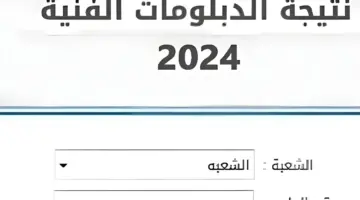 "لينك شغال" نتيجة الدبلومات الفنية برقم الجلوس واسماء الاوائل بجميع الاقسام