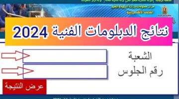 "جاري الرفع".. رابط نتيجة الدبلومات الفنية برقم الجلوس 2024 جميع التخصصات fany.emis.gov.eg