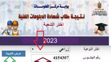 عبر بوابة التعليم الفني .. رابط نتيجة الدبلومات الفنية 2024 برقم الجلوس جميع التخصصات