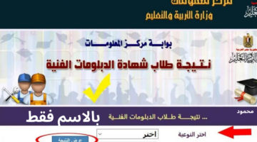 نتيجة نت.. natiga.fany.emis.gov.eg نتيجة الدبلومات الفنية الدور الاول 2024 بالاسم فقط