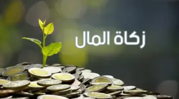 ما هو نصاب زكاة المال للسنة الهجرية 1446؟ .. مفتي الجمهورية التونسية يُجيب موضحًا اهم الشروط وكيفية اخراجها 