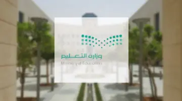 تفاصيل جديدة هامة.. التعليم السعودي يعلن نظام الفصول الدراسية للمدارس الأهلية والأجنبية 1446