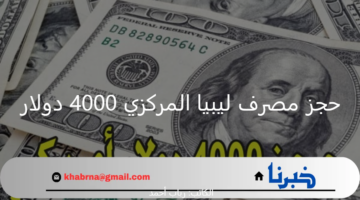 رابط منظومة حجز مصرف ليبيا المركزي 4000 دولار وأهم الشروط المطلوبة للتسجيل
