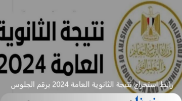moe.gov.eg .. رابط استخراج نتيجة الثانوية العامة 2024 برقم الجلوس عبر موقع وزارة التربية والتعليم
