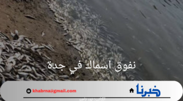 المركز الوطني للثروة السمكية يعلن انتشار ظاهرة نفوق اسماك في جدة 2024