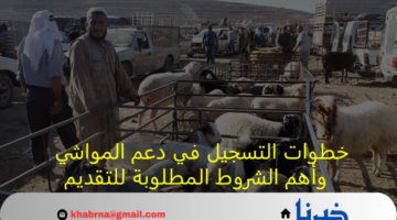 بالخطوات.. التسجيل في دعم المواشي 1446 وأهم الشروط المطلوبة للتقديم