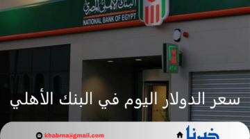 كم سعر الدولار اليوم في البنك الأهلي والعملات الأجنبية والعربية 10 أغسطس 2024؟