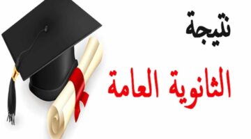 رابط سريع.. نتيجة الثانوية العامة 2024 بالاسم ورقم الجلوس