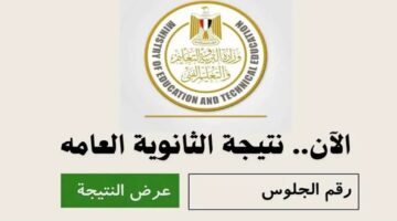 لينك الاستعلام عن نتيجة الثانوية العامة 2024 برقم الجلوس عبر موقع نتيجتي